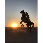 sunset riding academy.