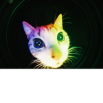 lopsided edgars
