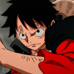 Fans de luffy