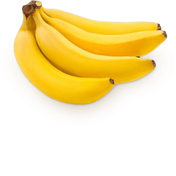 Secretagent's Terrible Obby BETA