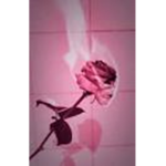 Falling#####