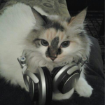 - viciousss -