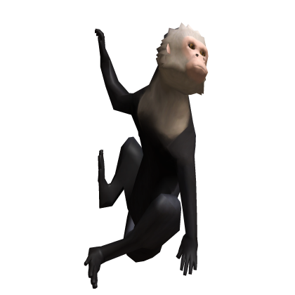 Hanging Monkey Companion