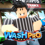 WashPro Development