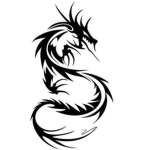 Team dragon2