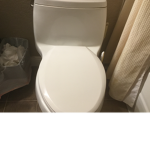 Army of toilet
