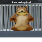 Normal squirrels hangout group