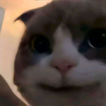 ANFC