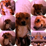 JEDOC_4892