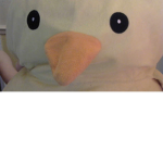 DUCKSFORELIFE