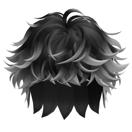🍀Fluffy Messy Boy Hair (Black&White) Roblox item