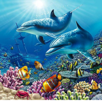 Dolphin and fishy squad