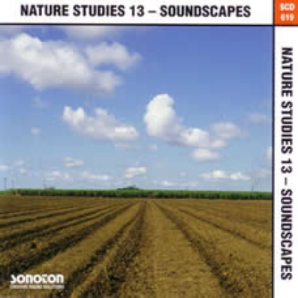 Ambient Nature Roblox music