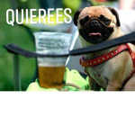 CUH QUIEREES
