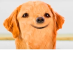 Robowta
