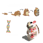 Chombiology