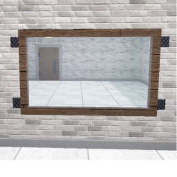 The Mirror Experiment