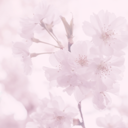 ʚɞ
