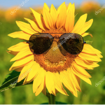 Happy UWU