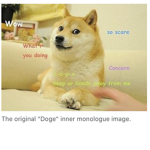 Doge Incorporation Inc.