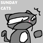 The sunday Cats