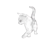 ଳ