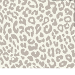 Cheetah <3!