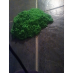 The green slime group