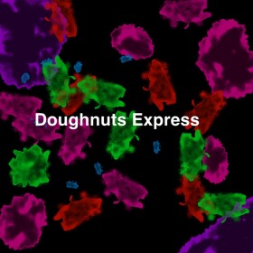 Doughnuts Express