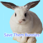 Save the bunnies <3