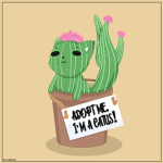 Adopt Me Developer!