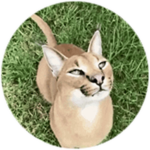 touched grass