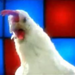 Groovy chicken~~