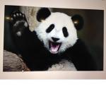 Pandas only!!!!!!!!