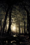 TheDarkOrchard