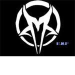 Elite Night Fighters