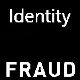 [Identity Fraud]