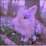 Floral Blue Bunnies