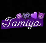 Fashion by Tamiya
