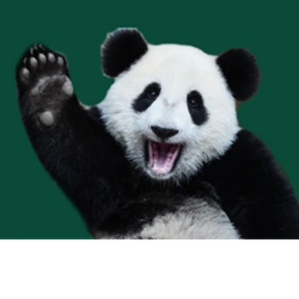Mountbatten Companies Roblox group icon