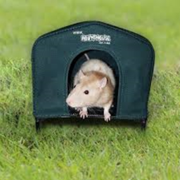 RATVILLE