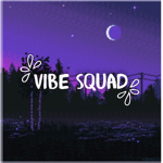 Vibe Squad ツ