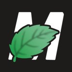 Mint Productıons