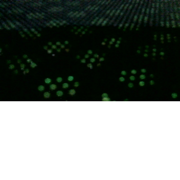 A BADDAS SQUID GAME PLS play