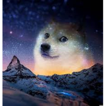 Dogewood Labs
