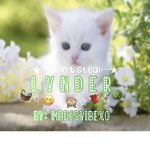Ｌｖｎｄｅｒ