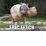 WANT TO BE EPIC