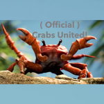 (Official) Crabs United!