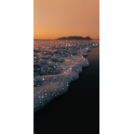 SunRise_Squad