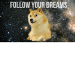 -Doge Gang-